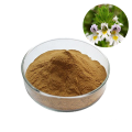 High Quality Pure Natural Eyebright Euphrasia Officinalis Powder 10% 20% Eyebright Herb Extract